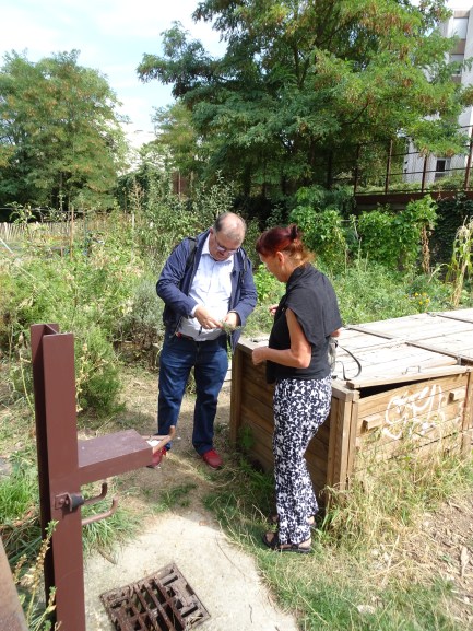 DSC01570 Petite ceinture 12ieme (12)