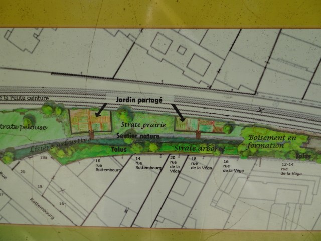 DSC01570 Petite ceinture 12ieme (6)