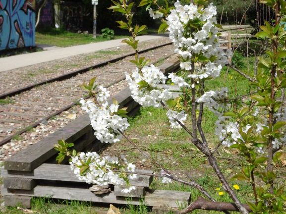 DSC03788 PC Menilmontant April 2019 (6)