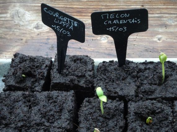 DSC03694 La Recyclerie pt Ceinture 18. Arr (22)