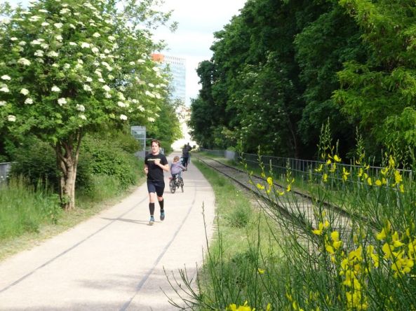 DSC04327 PC 15. Arr (16)