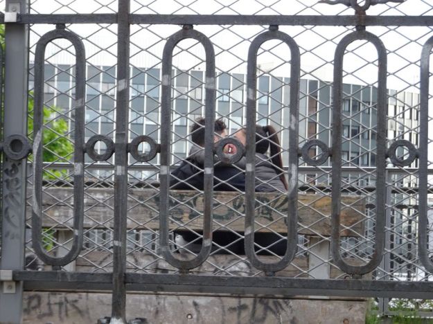 DSC04327 PC 15. Arr (8)