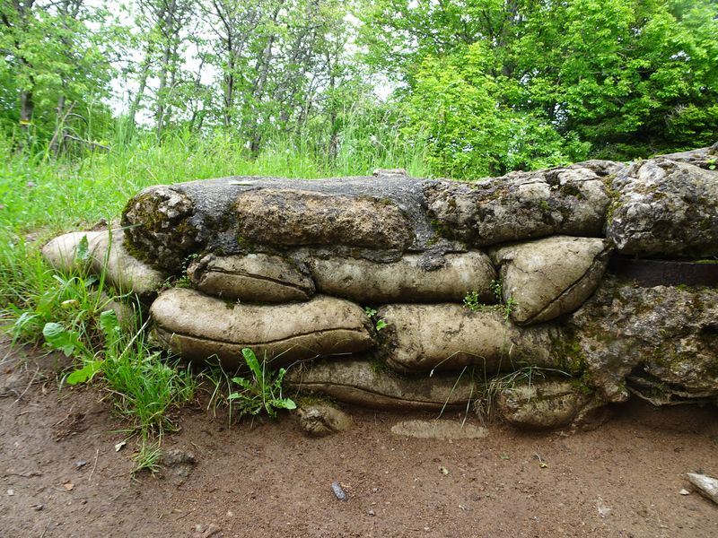 DSC04745 Hartmannsweilerkopf (102)