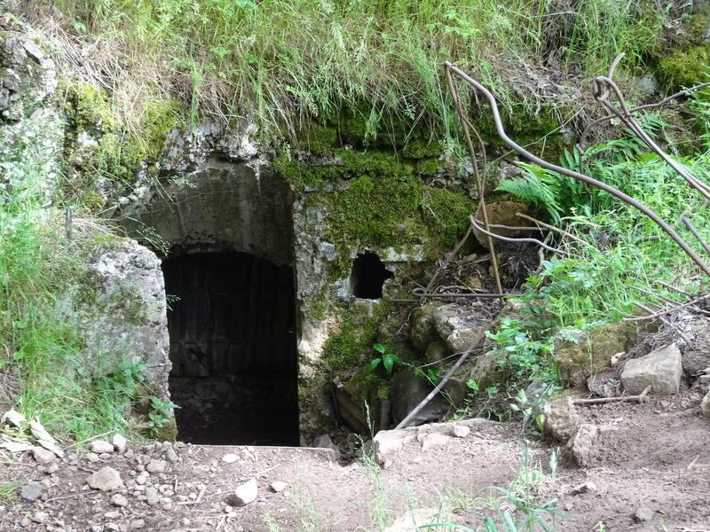 DSC04745 Hartmannsweilerkopf (105)