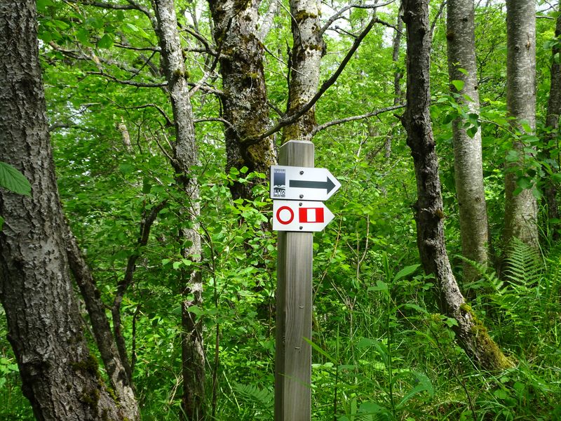 DSC04745 Hartmannsweilerkopf (114)