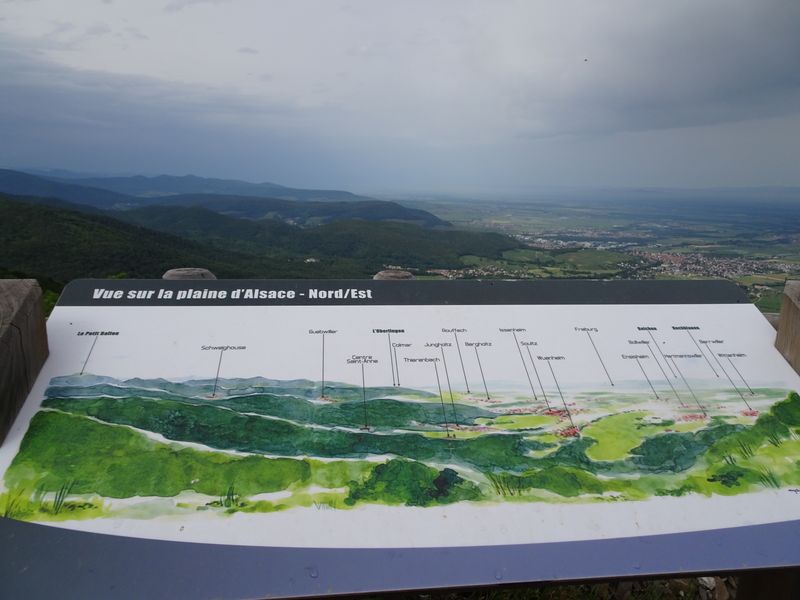 DSC04745 Hartmannsweilerkopf (118)