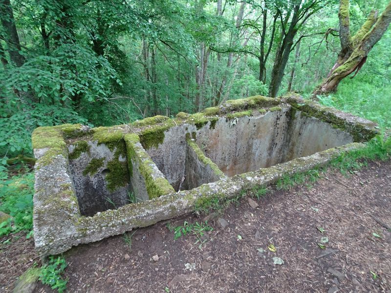 DSC04745 Hartmannsweilerkopf (138)