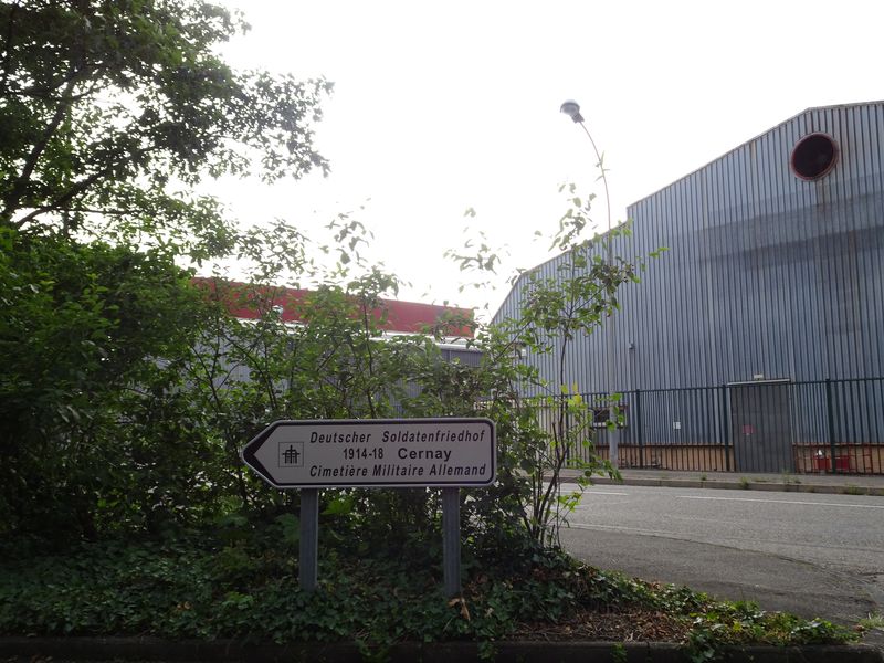 DSC04745 Hartmannsweilerkopf (159)