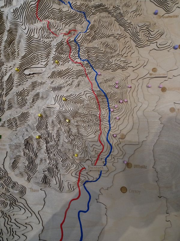 DSC04745 Hartmannsweilerkopf (43)