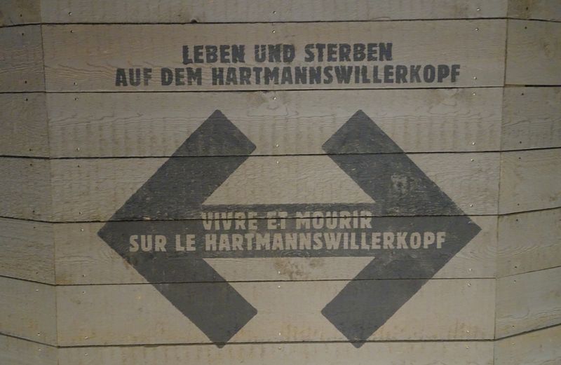 DSC04745 Hartmannsweilerkopf (49)