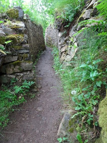 DSC04745 Hartmannsweilerkopf (79)