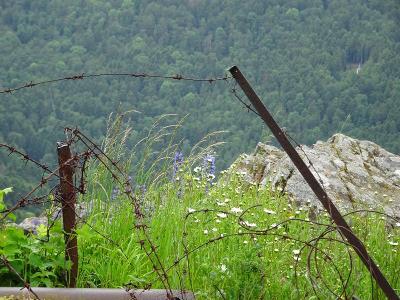 DSC04745 Hartmannsweilerkopf (83)