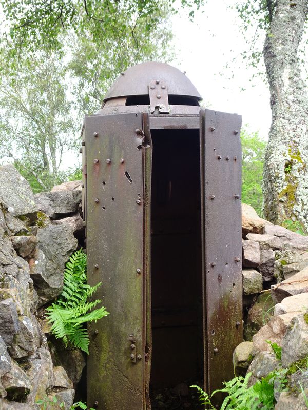 DSC04745 Hartmannsweilerkopf (96)