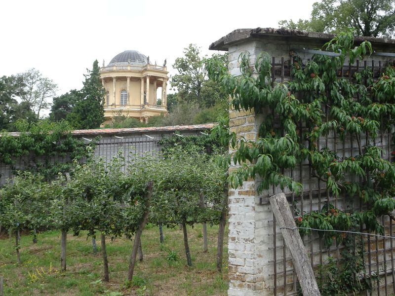 DSC05367 Lepersche Mauern Königl. Weinberg (28)