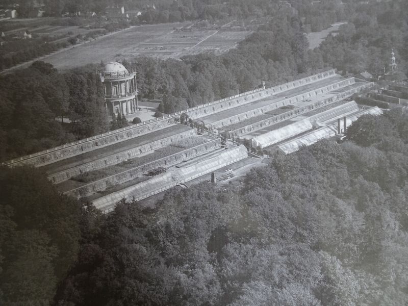 DSC05367 Lepersche Mauern Königl. Weinberg (38)