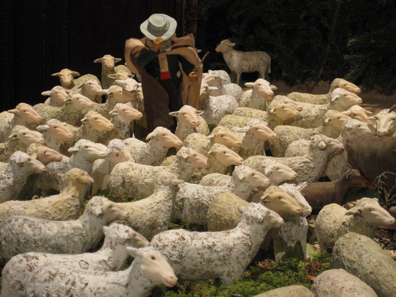 KONZERT Madeleine 4.1.14 004