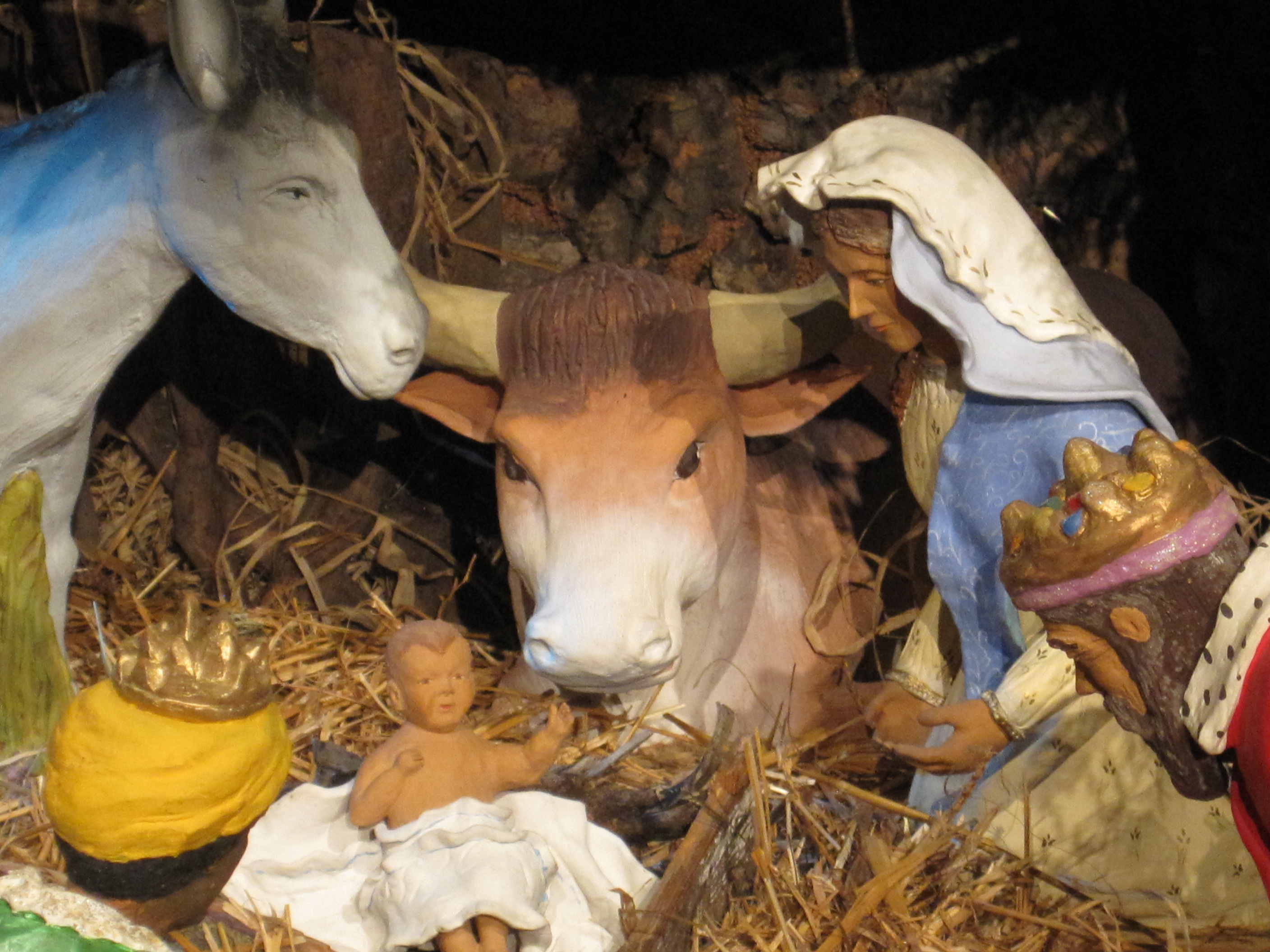 KONZERT Madeleine 4.1.14 006