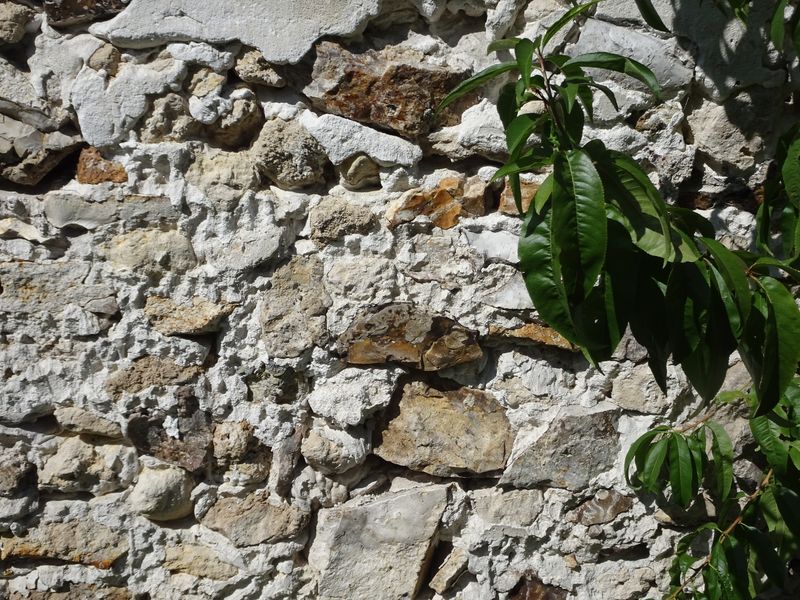 DSC05569 Montreuil (10).JPG