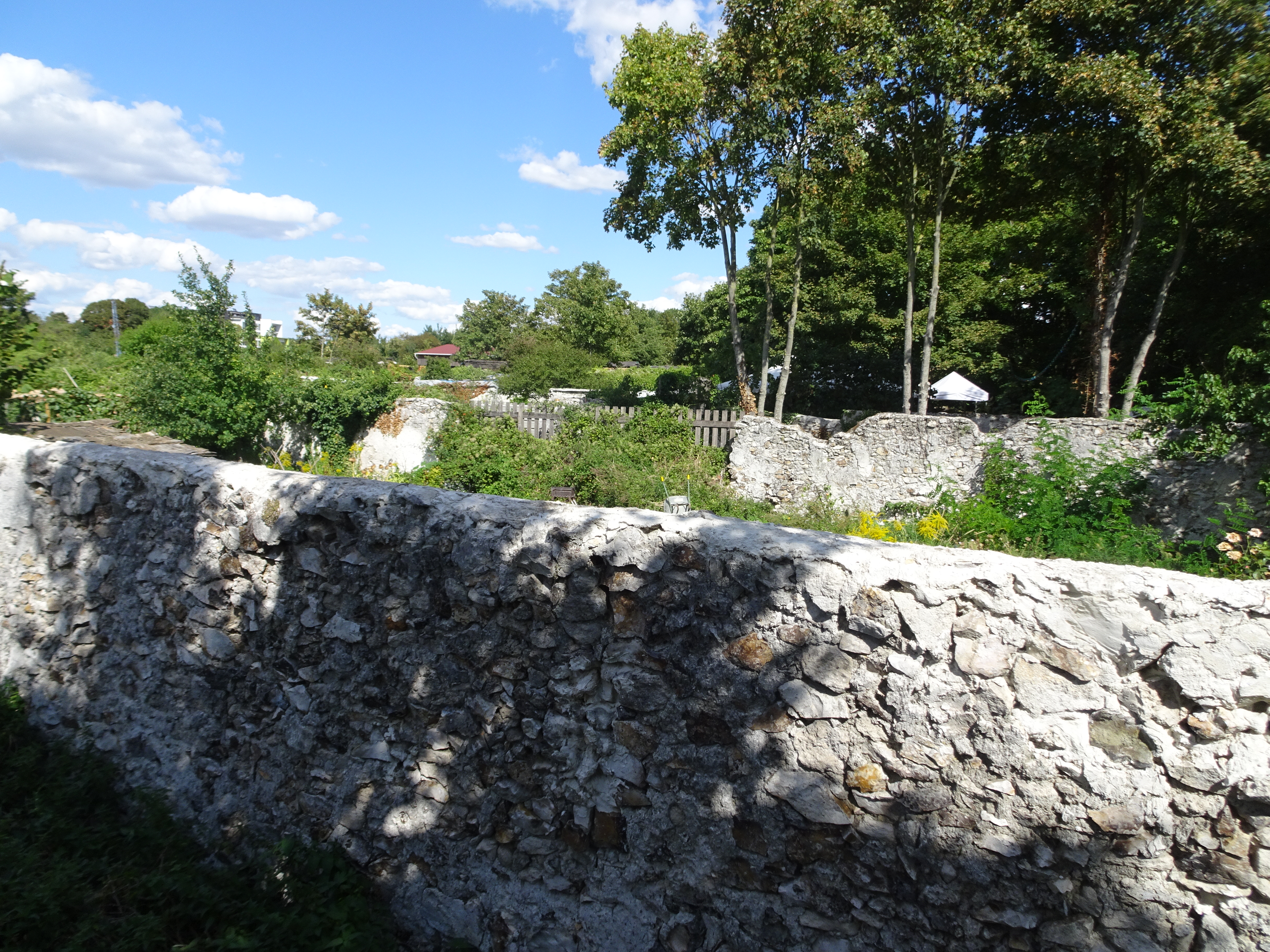 DSC05569 Montreuil (16)