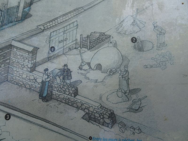 DSC05569 Montreuil (42)