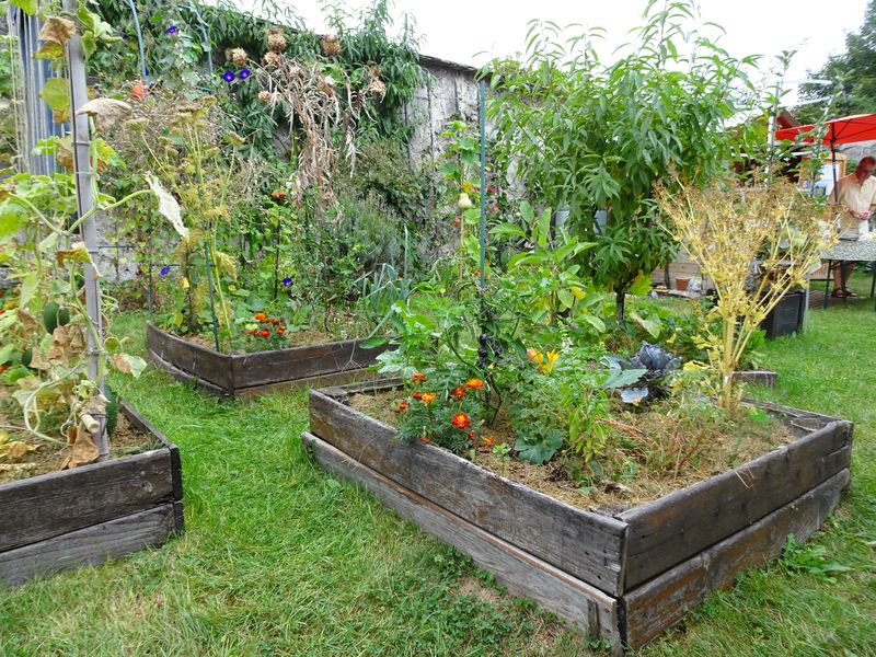 DSC06008 Montreuil Jardin Fontaine (19)