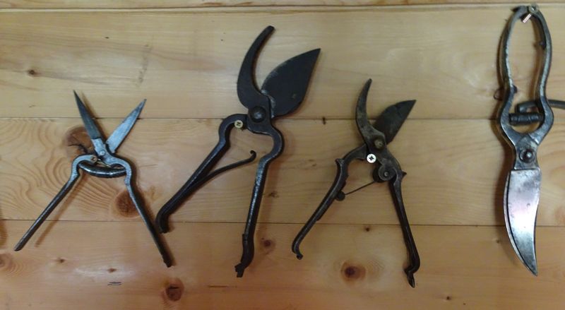 DSC06008 Montreuil Jardin Fontaine (44)