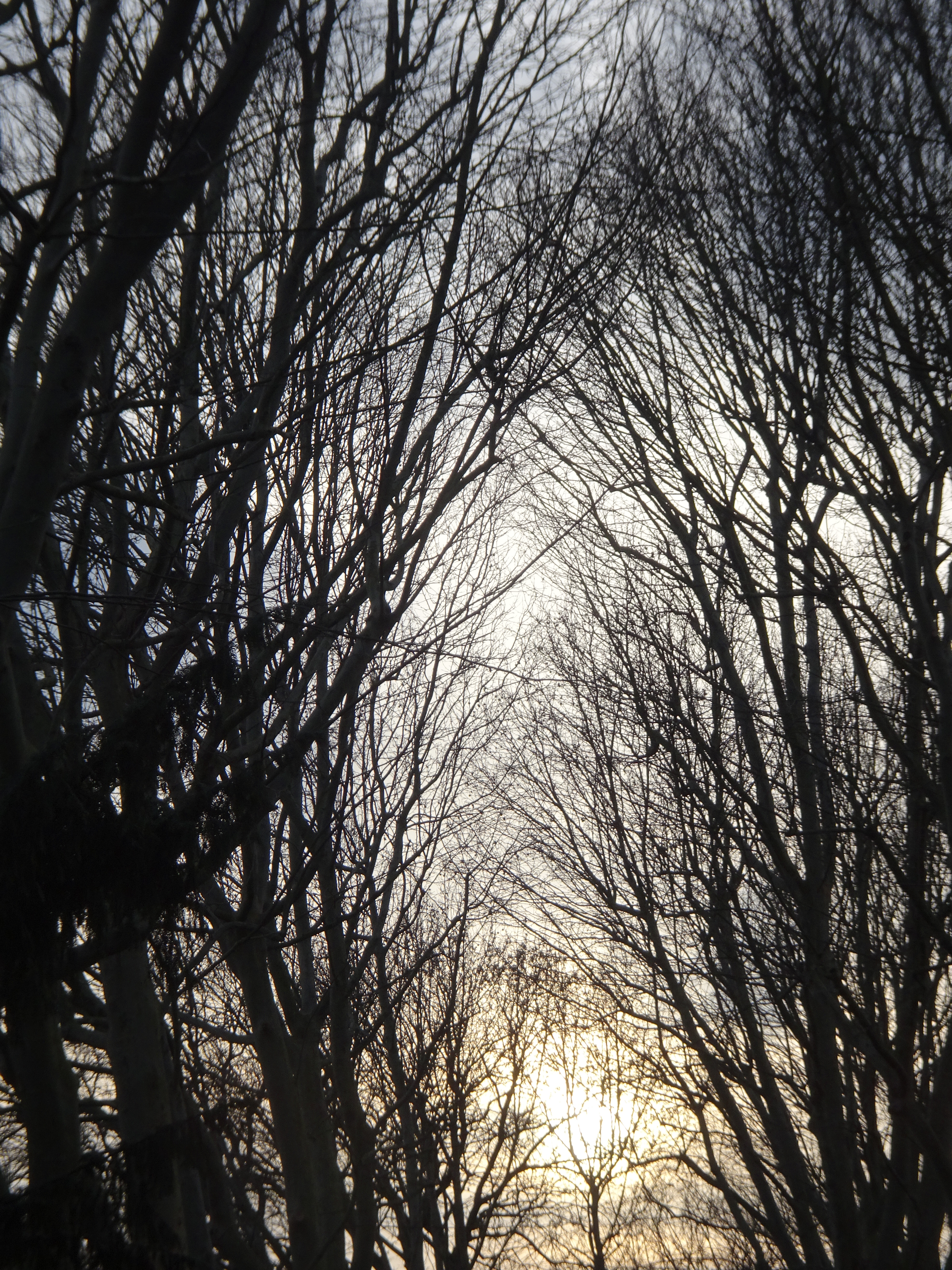 DSC06893 Pere Lachaise Lager (4)