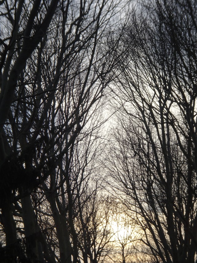DSC06893 Pere Lachaise Lager (4)