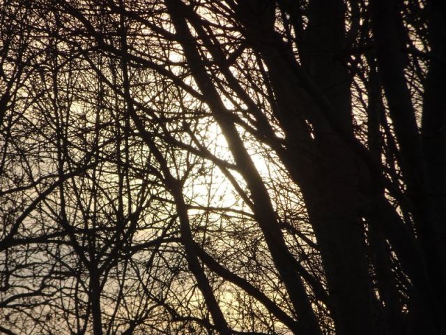 DSC06893 Pere Lachaise Lager (5)