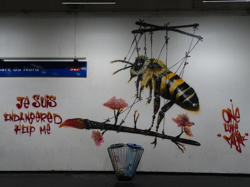 DSC06440 Gare du Nord Nov 2019 (12)