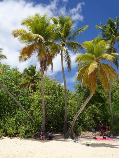 Der Strand des Salines soll der schönste von M. sein