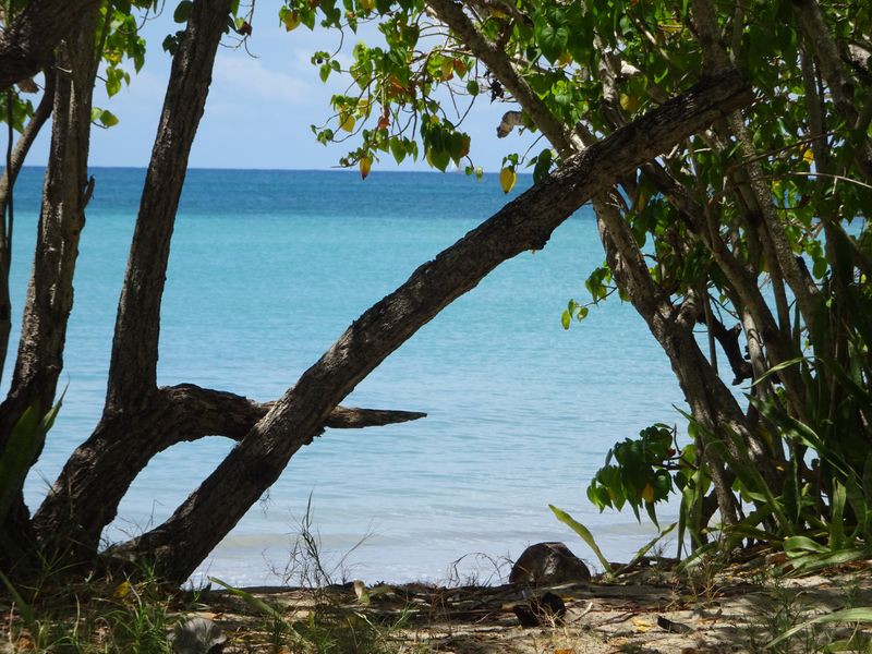 DSC07421 Martinique (26)