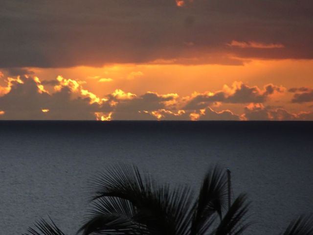 DSC07421 Martinique (47)