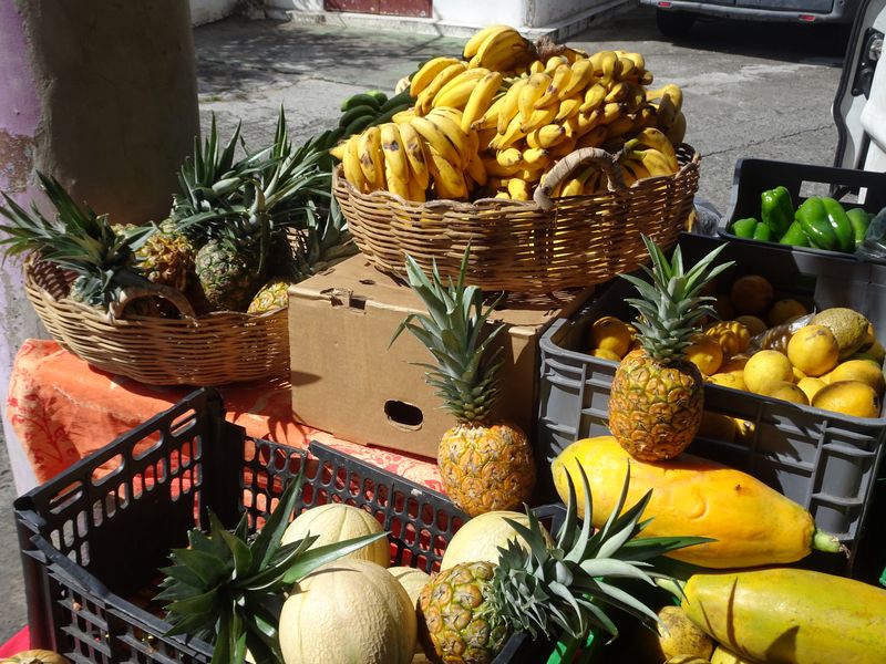 DSC07486 Mrtinique (10)