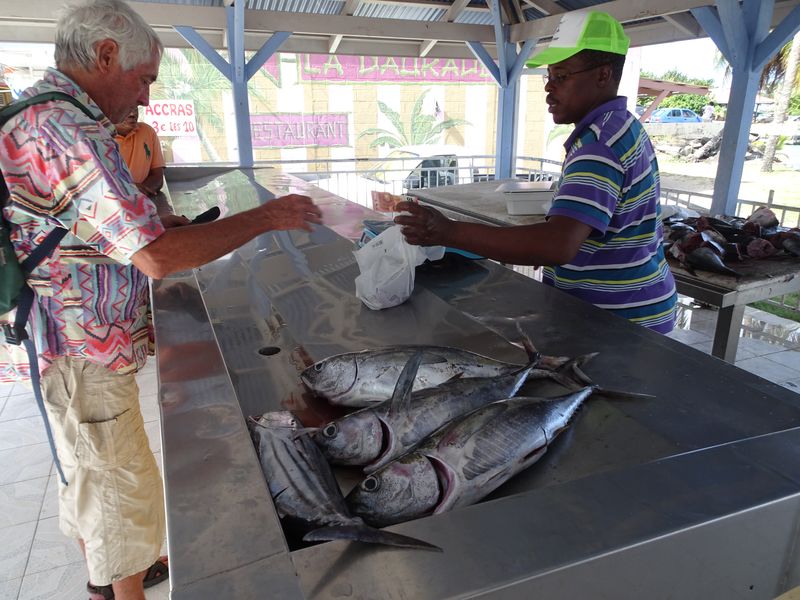 DSC07486 Mrtinique (8)