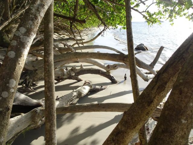 DSC07525 Martinique (20)