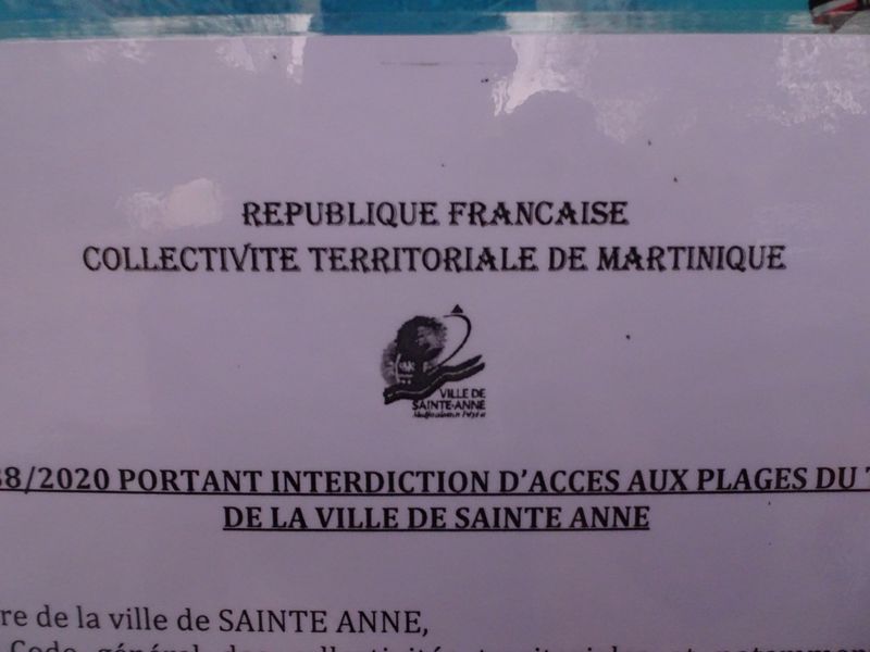 DSC07525 Martinique (39)