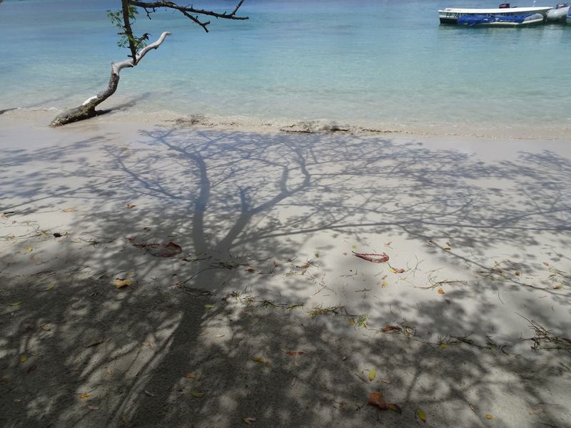 DSC07565 Martinique (4)