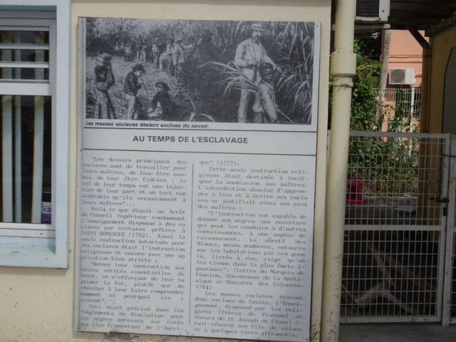 DSC07565 Martinique (55)