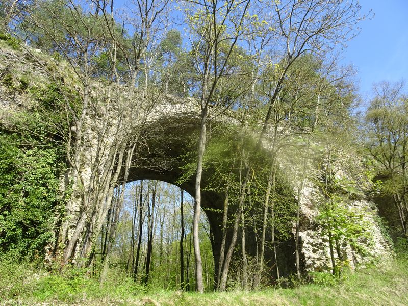 DSC03178 Maintenant April 2018