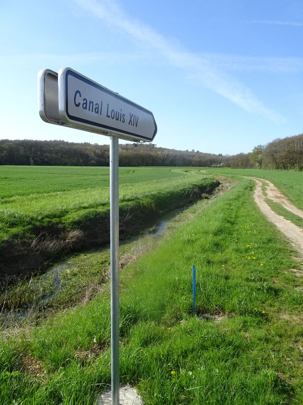DSC03259 Maintenon april 2018 (75)