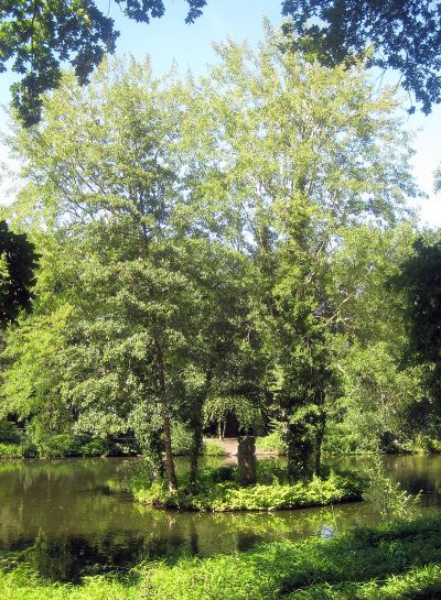800px-Berlin,_Tiergarten,_Rousseau-Insel