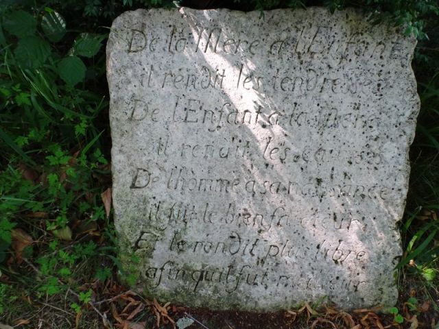 DSC08057 Parc Rousseau (21)