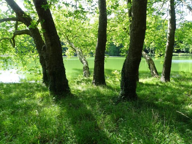 DSC08057 Parc Rousseau (30)