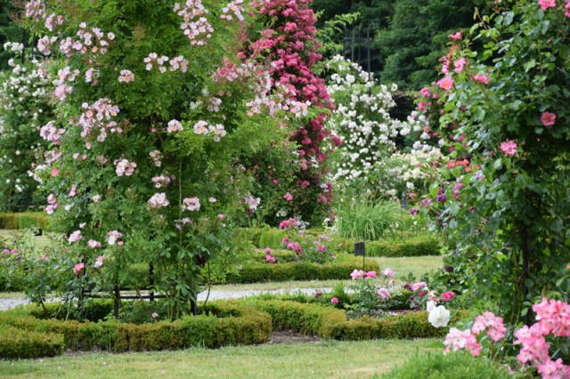 1583829202_3761_985974343