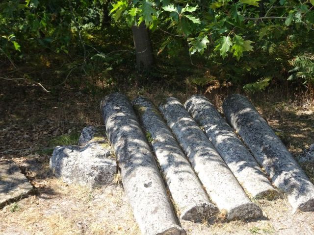 DSC08571 Ermenonville August 2020 (76)