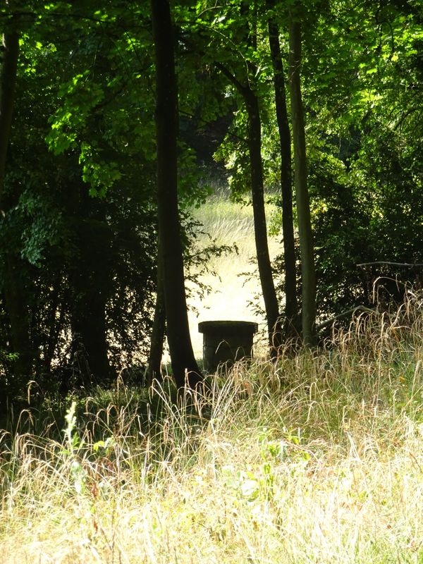 DSC08571 Ermenonville August 2020 (87)