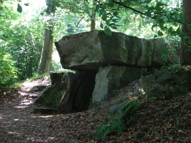 DSC08571 Ermenonville August 2020 (95)