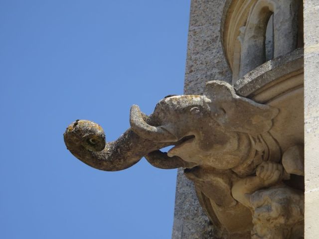 DSC08674 Chaalis (82)